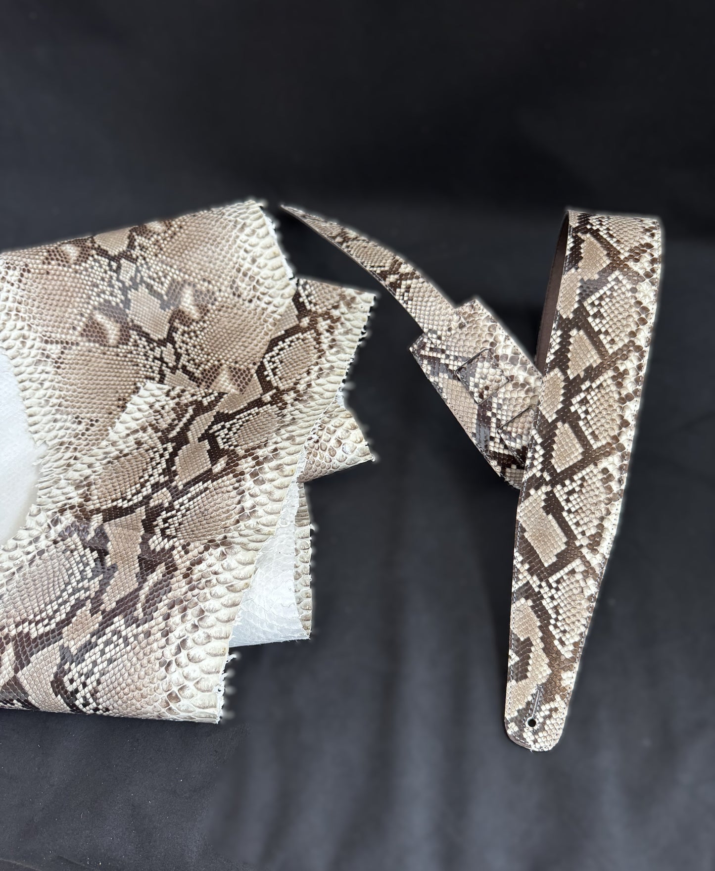 Genuine Burmese python - GBS