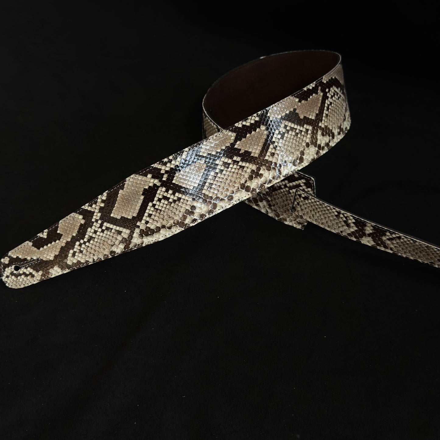 Genuine Burmese python - GBS