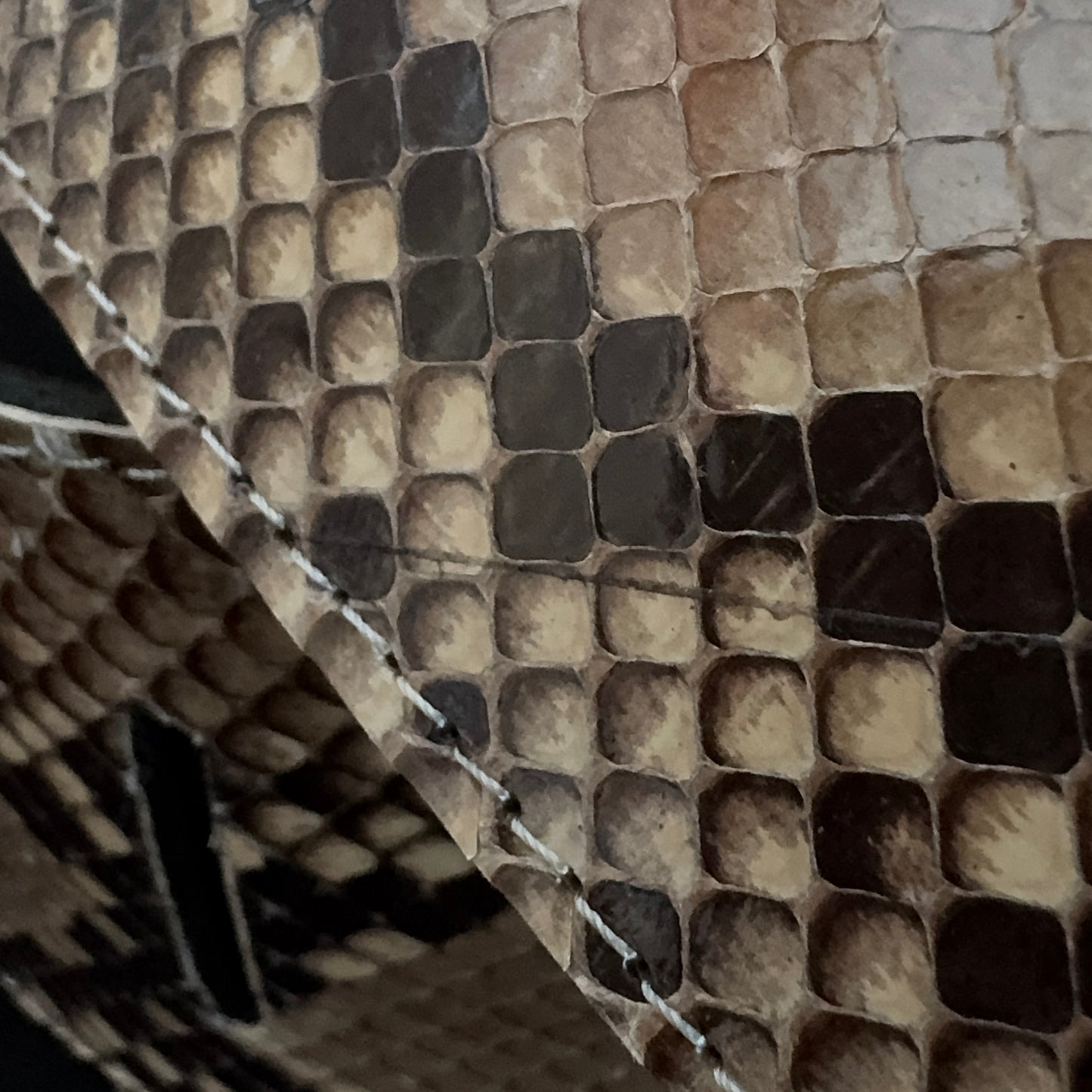 Genuine python Brown