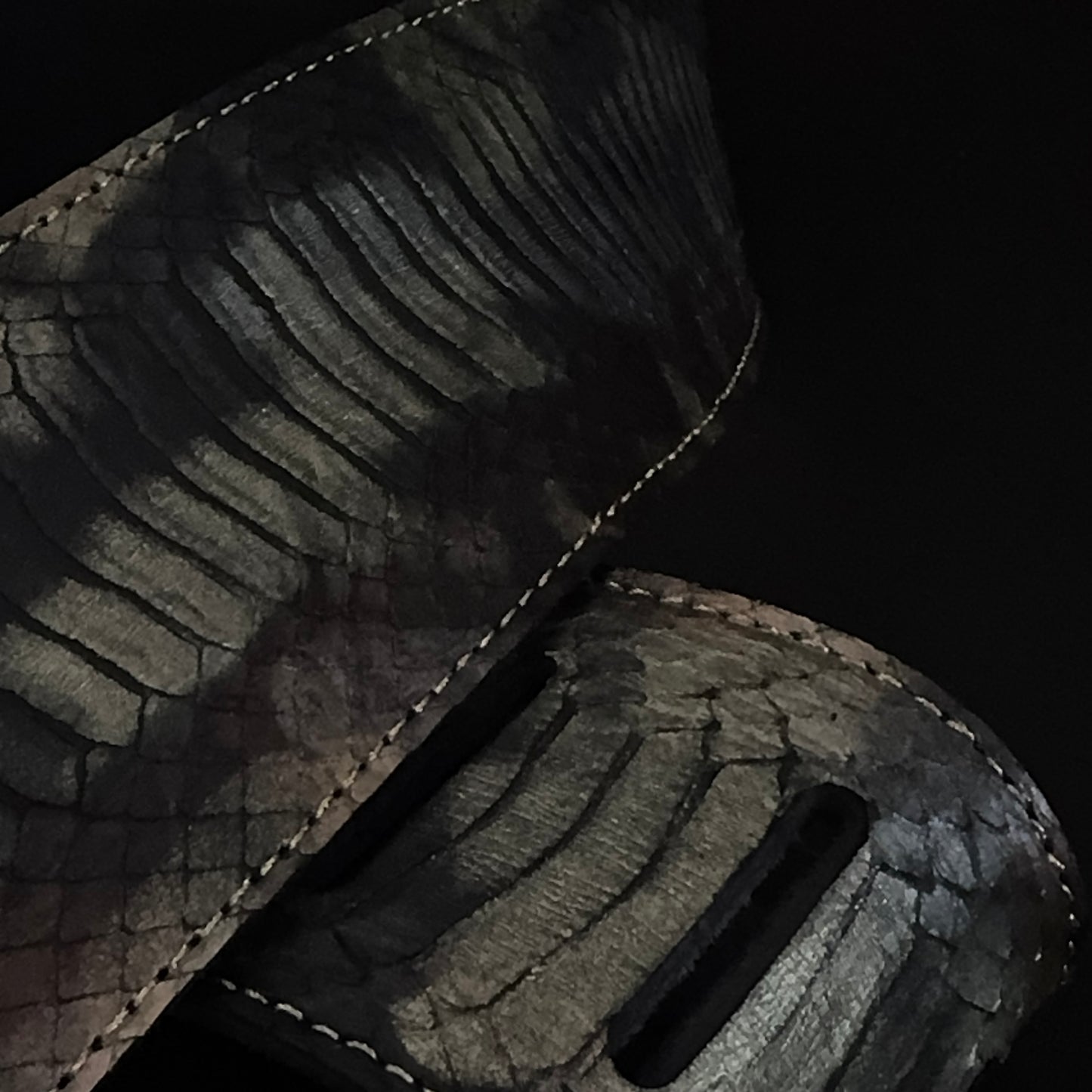 Egyptian python