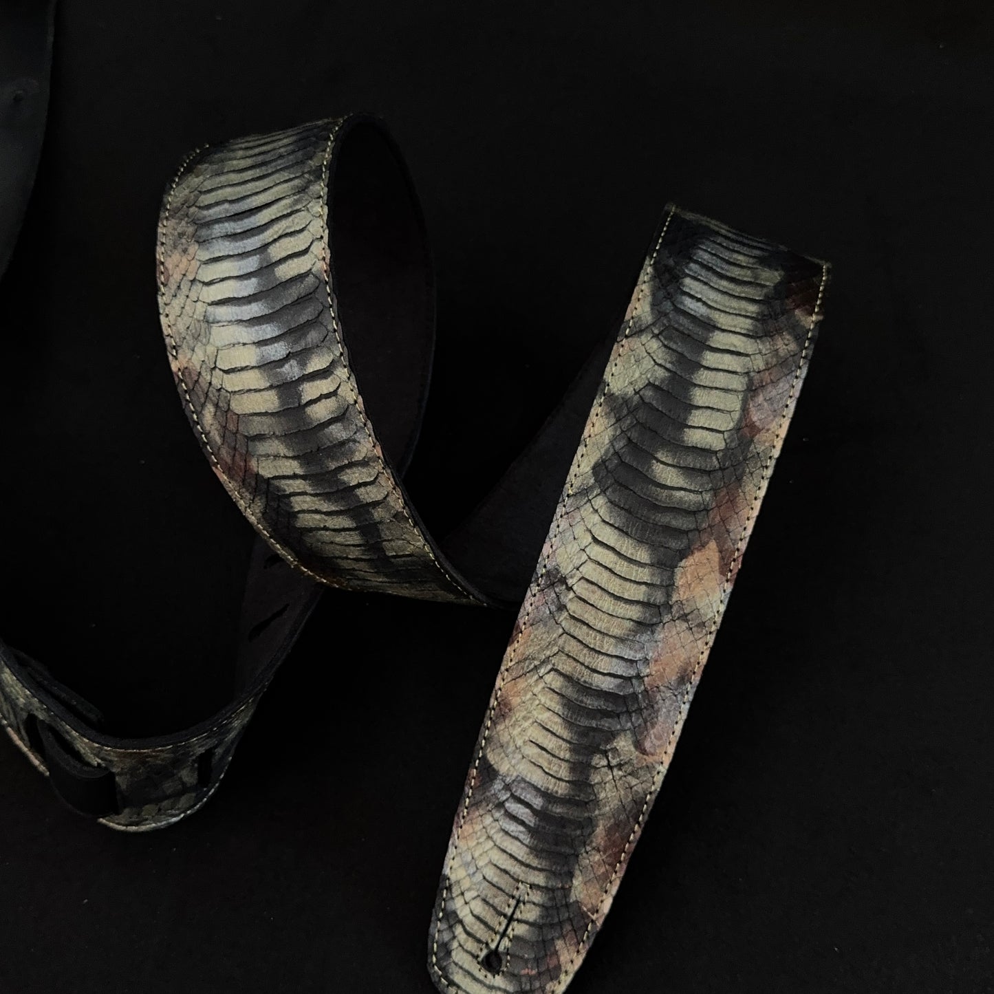 Egyptian python