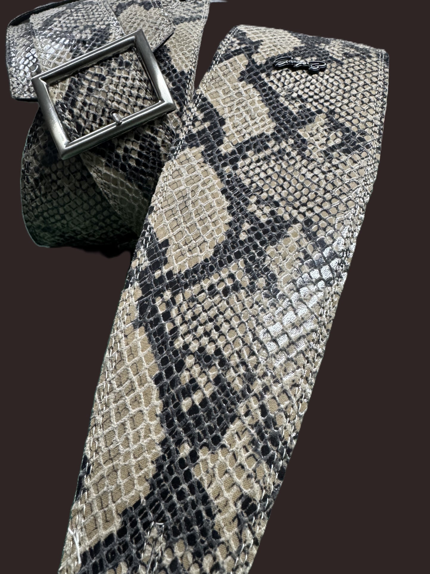 Randy Rhoads python imitation - GBS