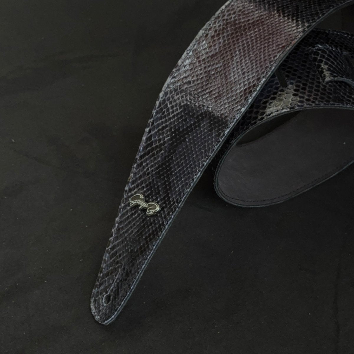 Dark blue Python - GBS