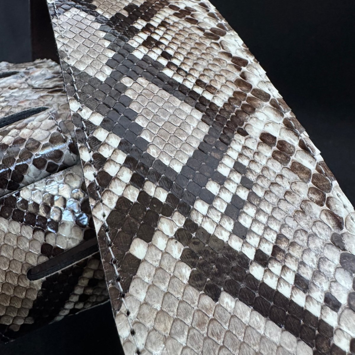 Genuine Burmese python - GBS