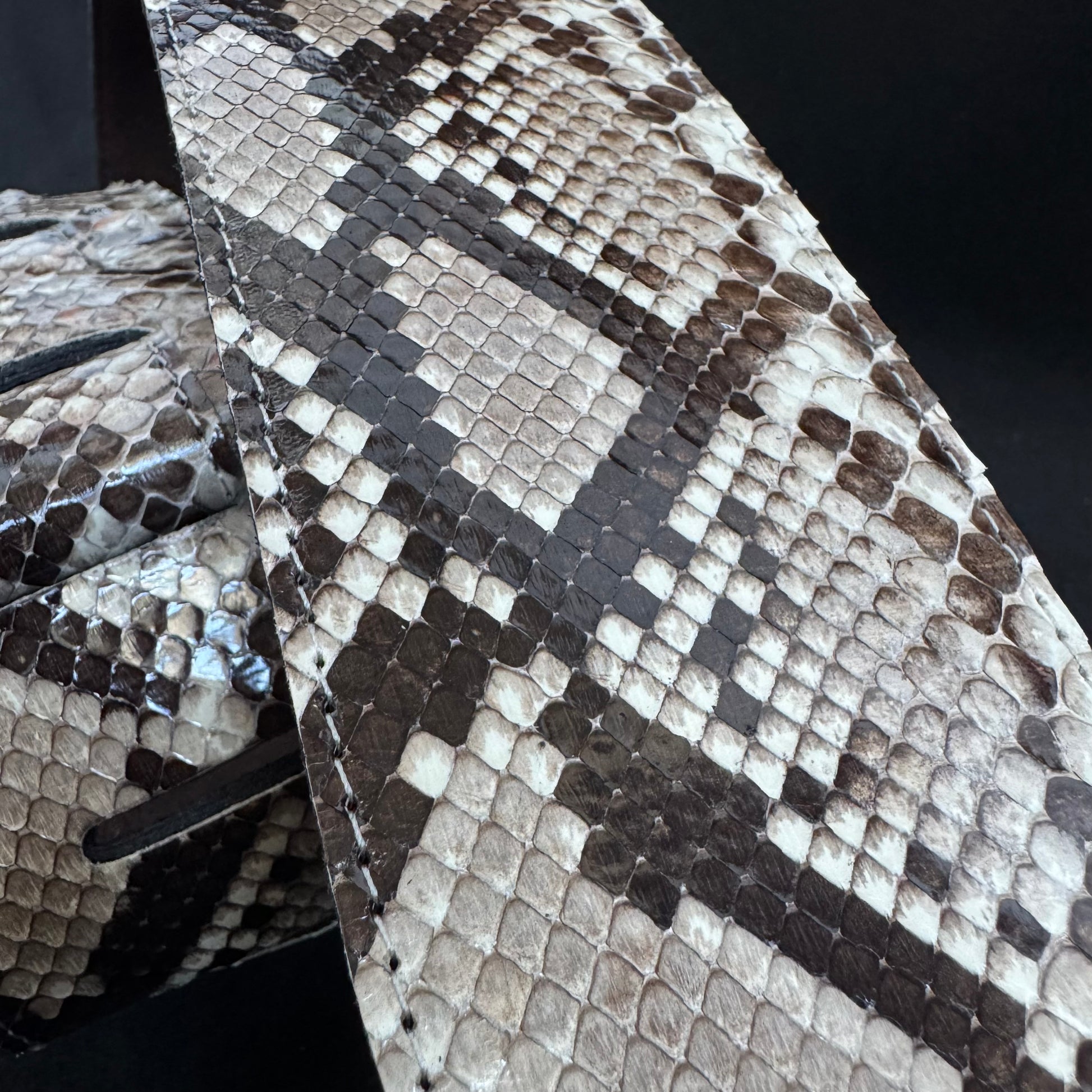Genuine Burmese python - GBS