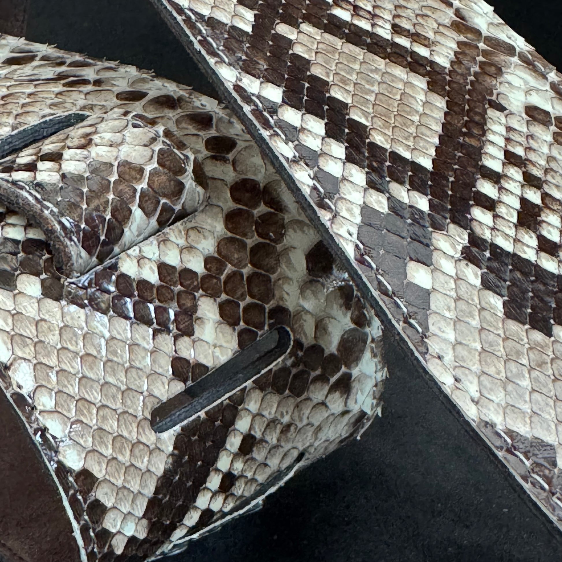 Genuine Burmese python - GBS