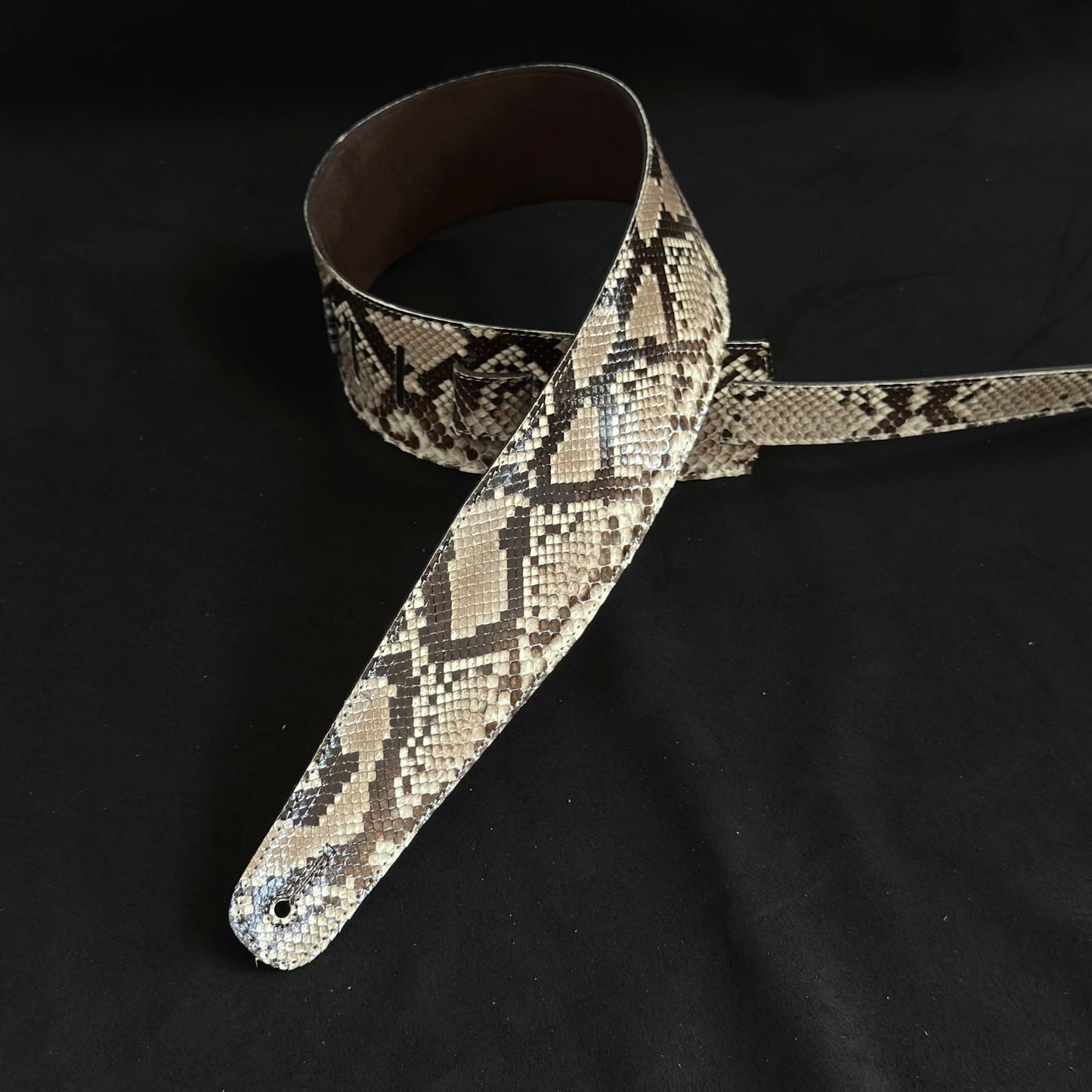 Genuine Burmese python - GBS