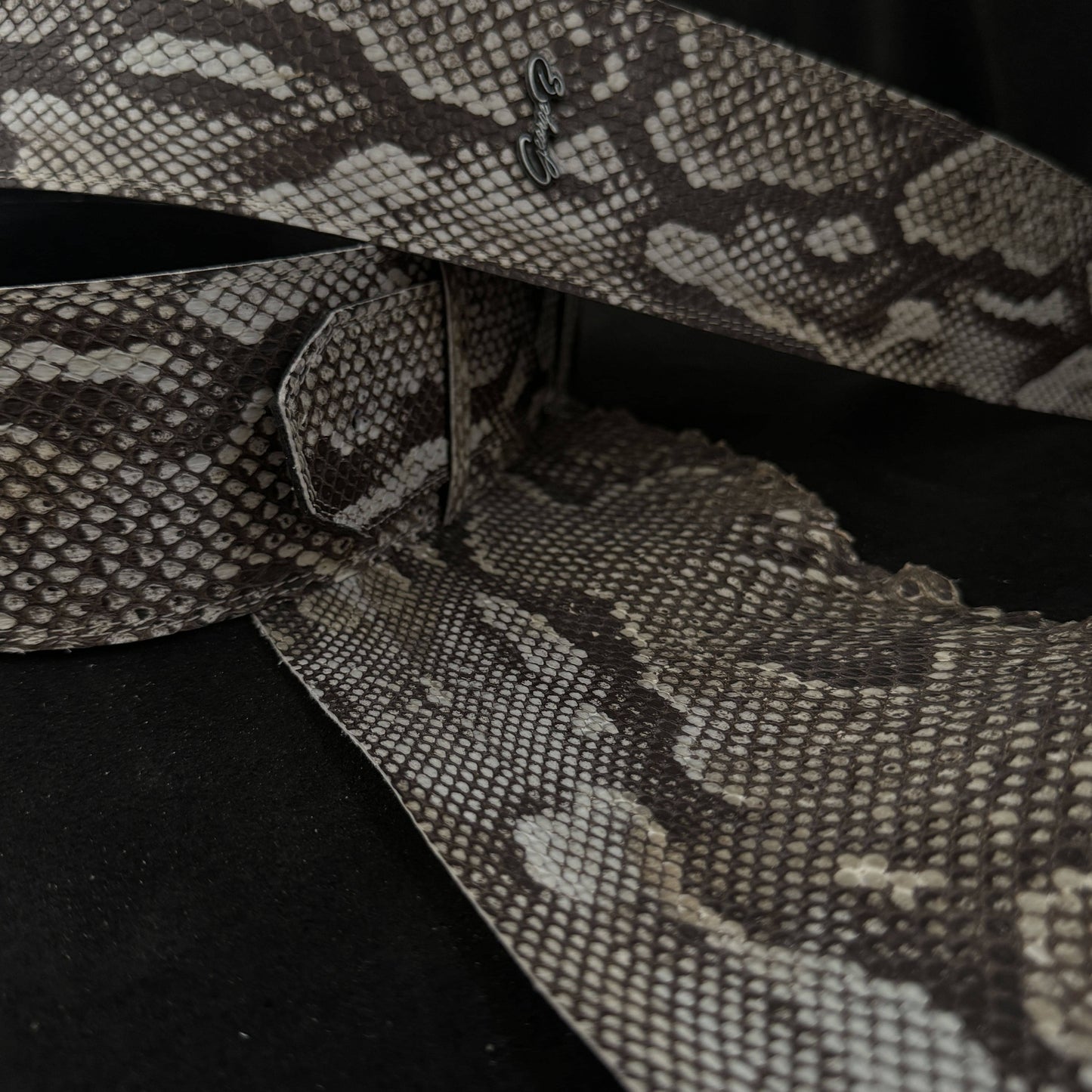 Randy Rhoads  real Burmese python skin - GBS