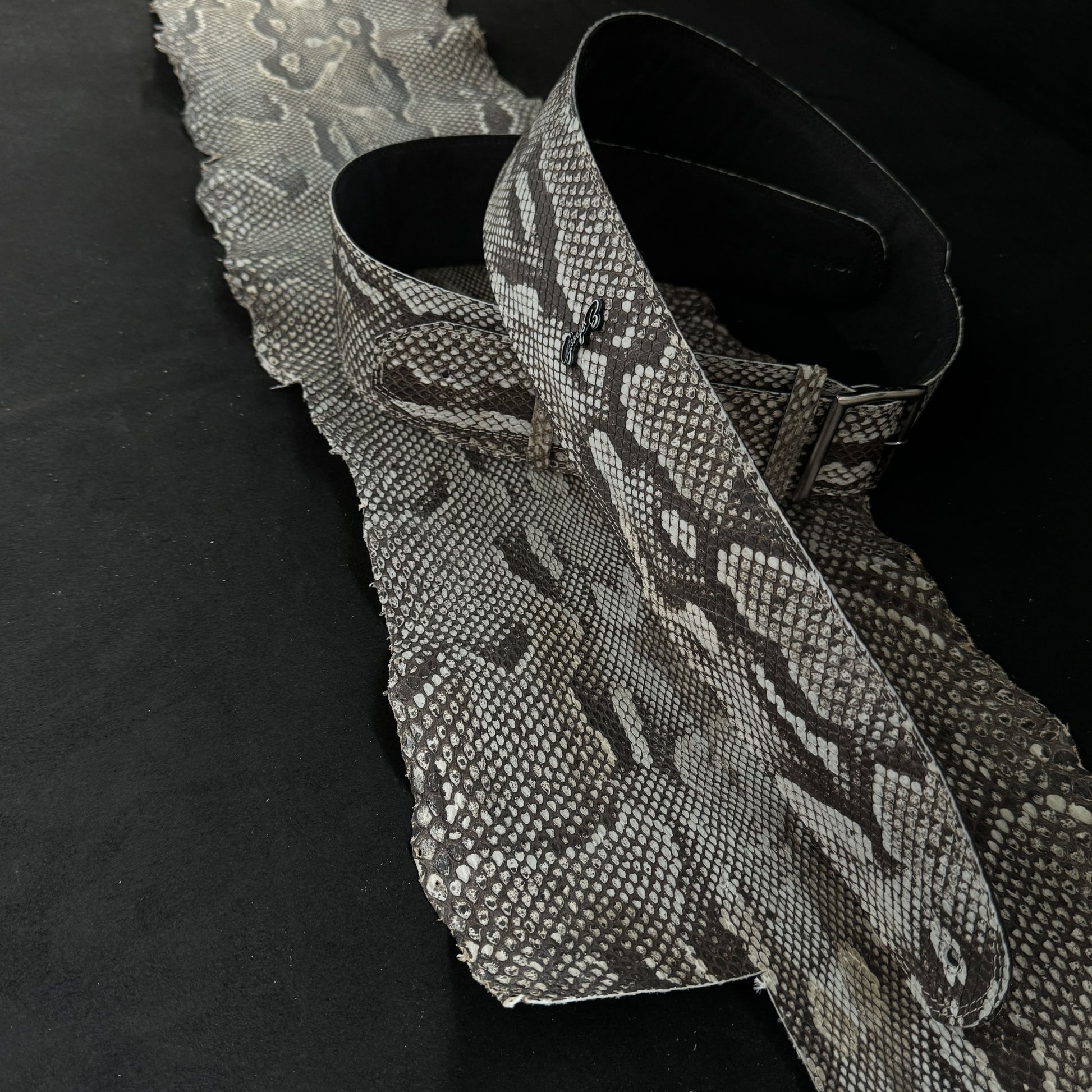 Randy Rhoads  real Burmese python skin - GBS