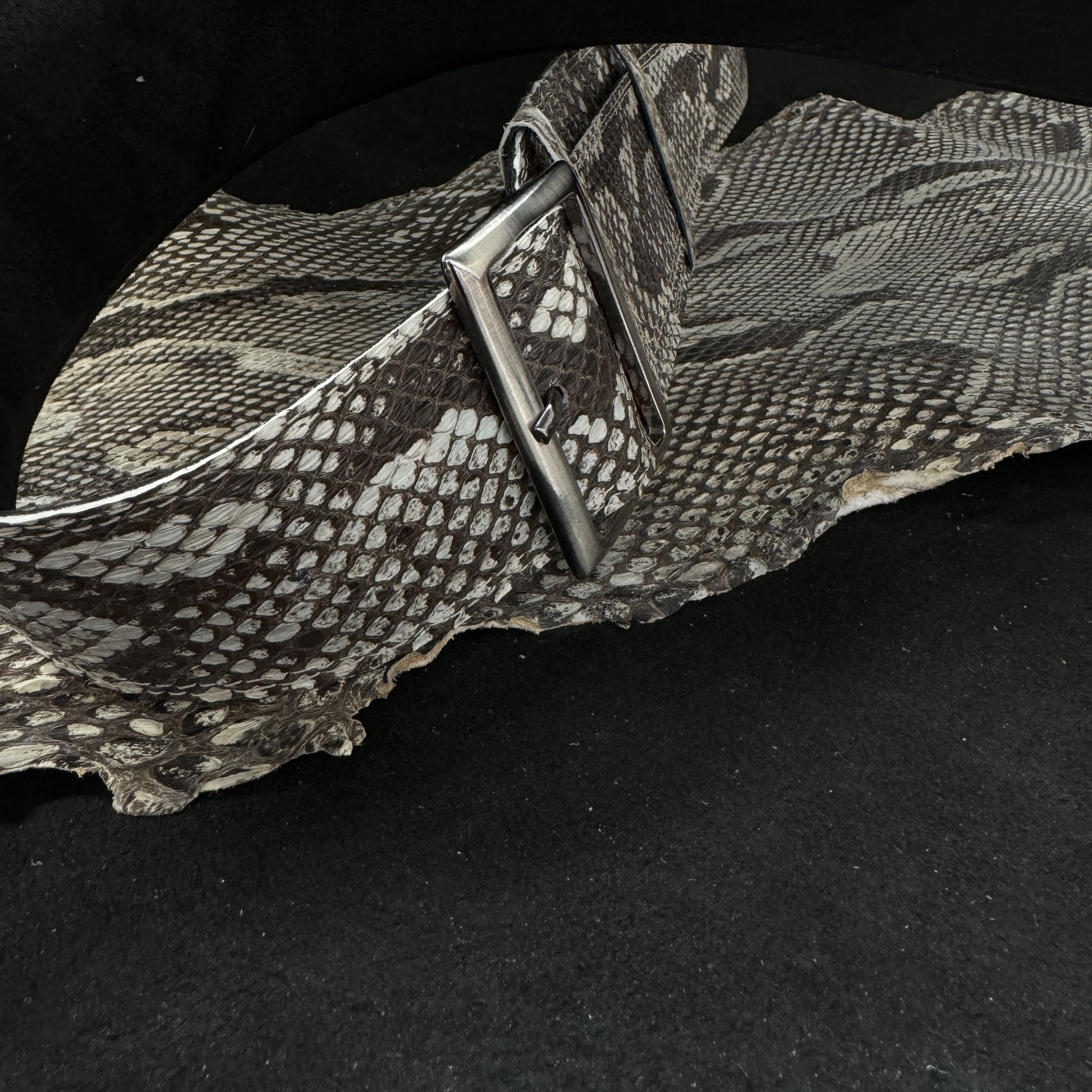 Randy Rhoads  real Burmese python skin - GBS