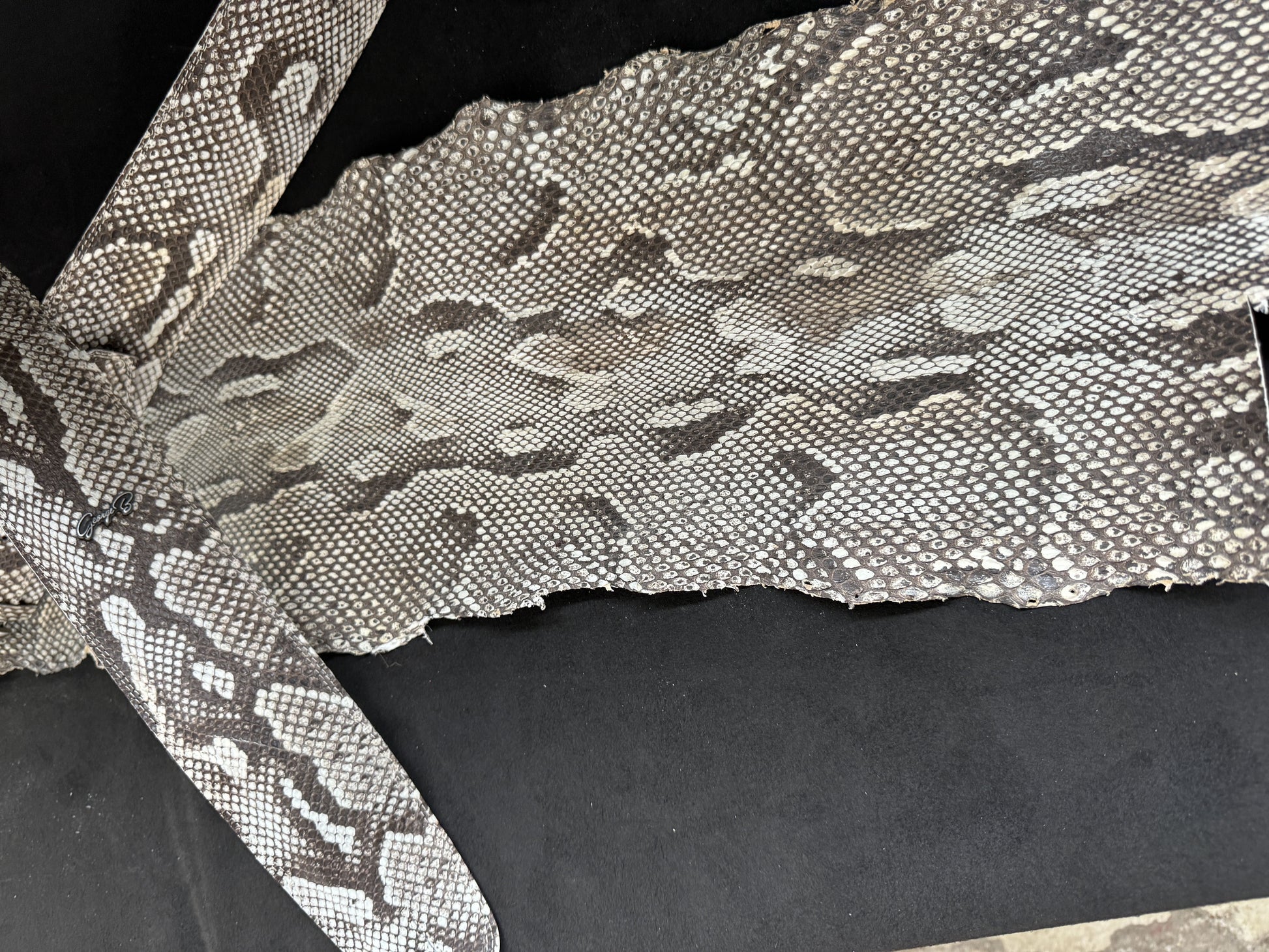 Randy Rhoads  real Burmese python skin - GBS