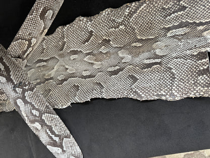 Randy Rhoads  real Burmese python skin - GBS