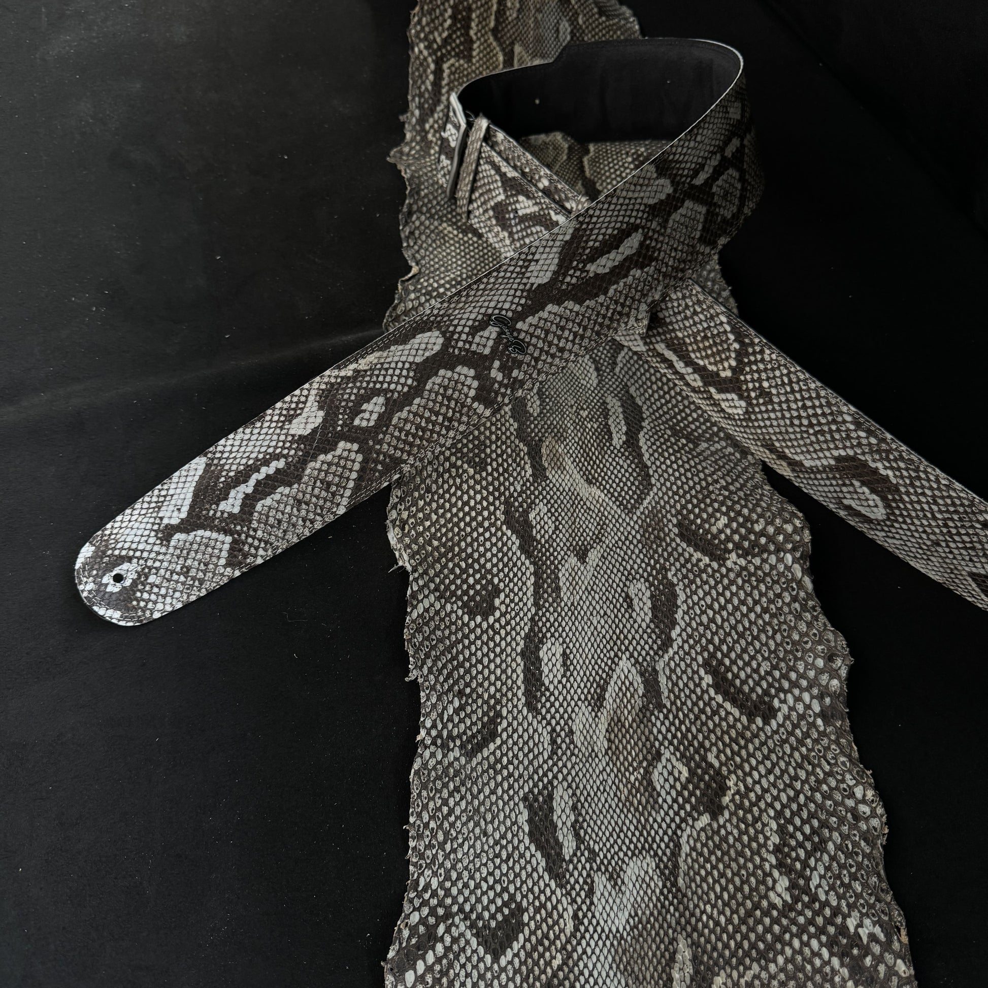Randy Rhoads  real Burmese python skin - GBS