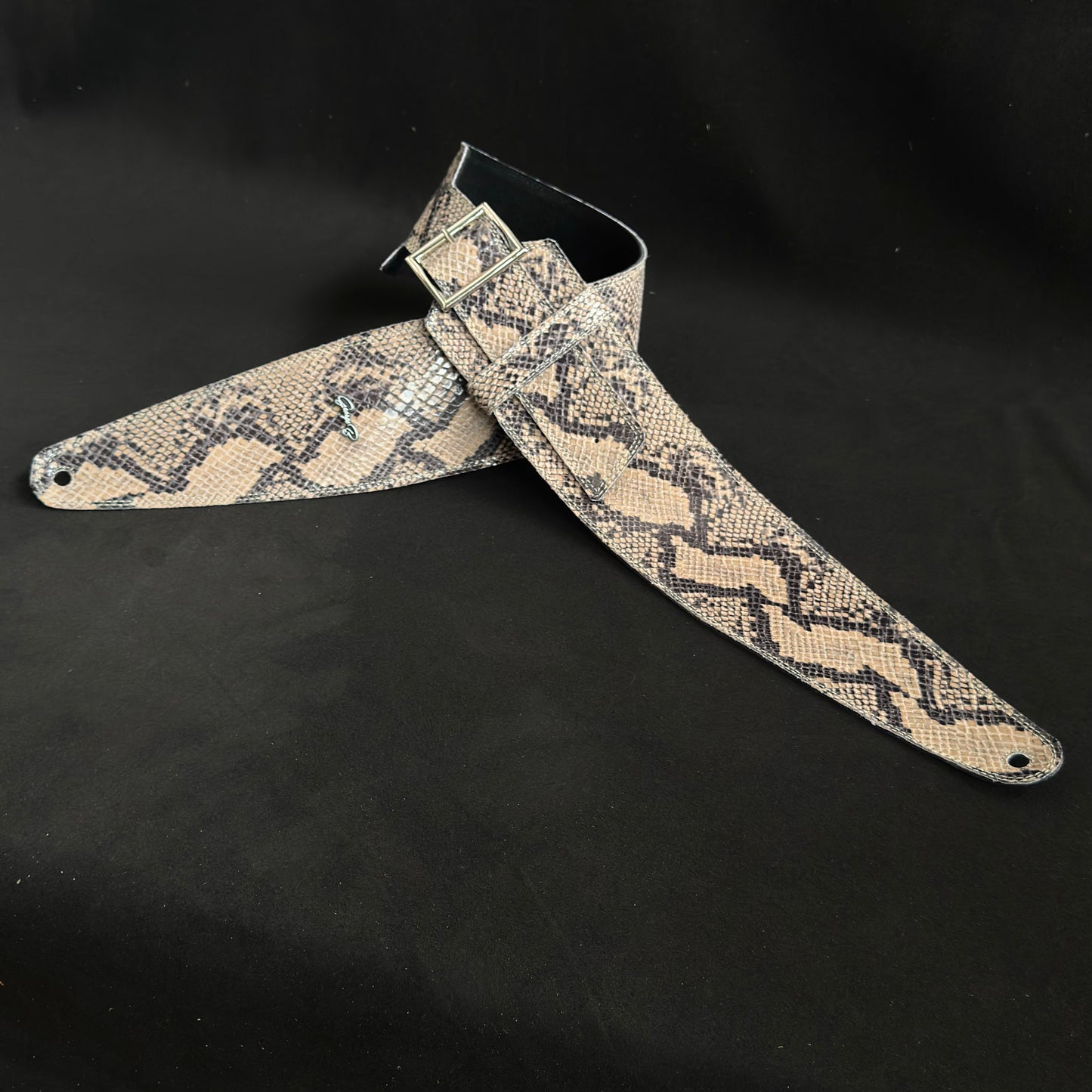 Randy Rhoads  python imitation - GBS