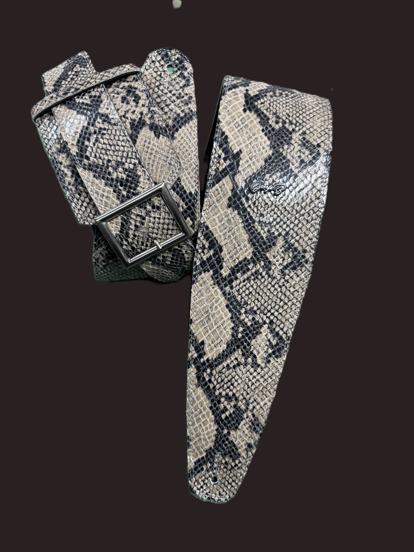 Randy Rhoads  python imitation - GBS