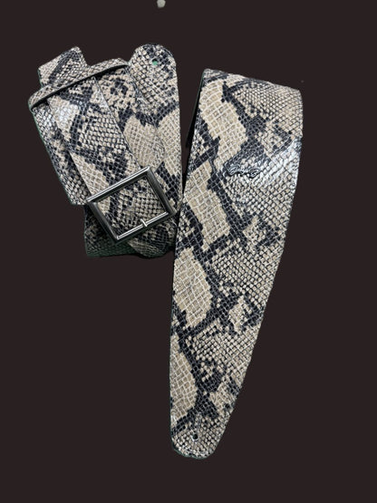Randy Rhoads python imitation - GBS