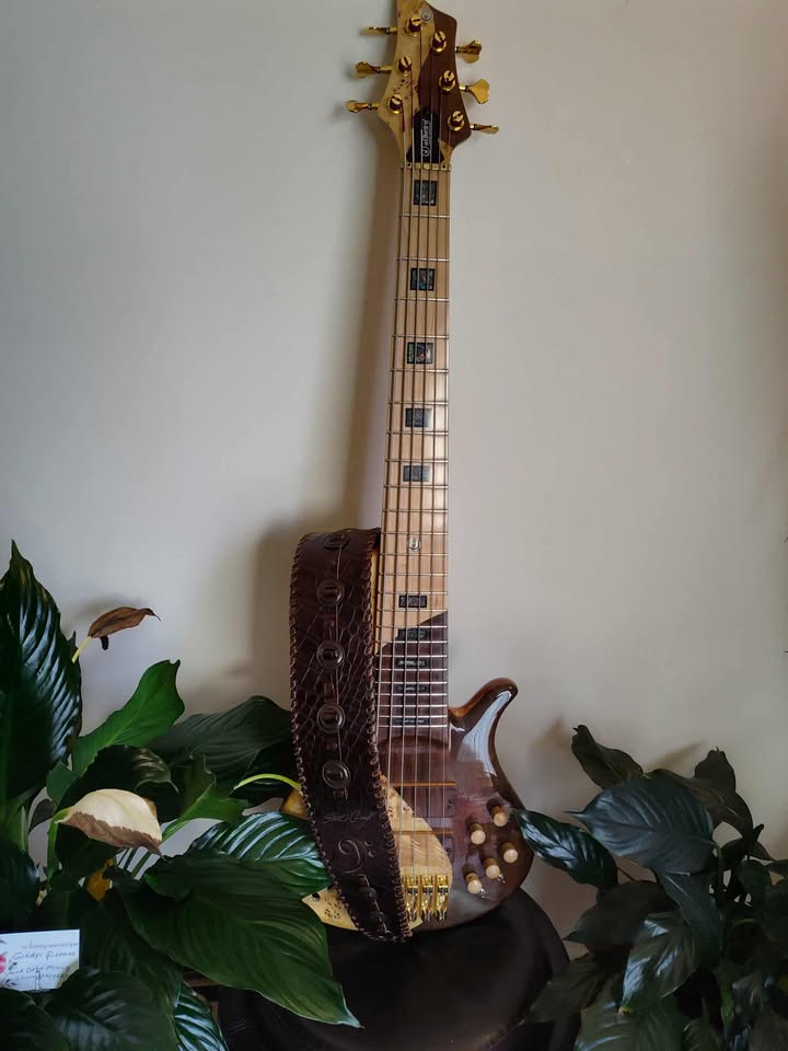 Stevo Model - GBS