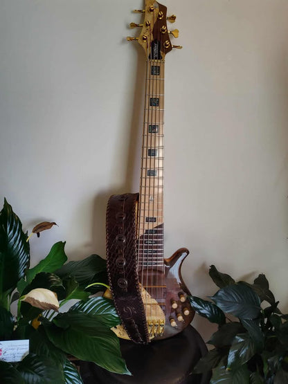 Stevo Model - GBS