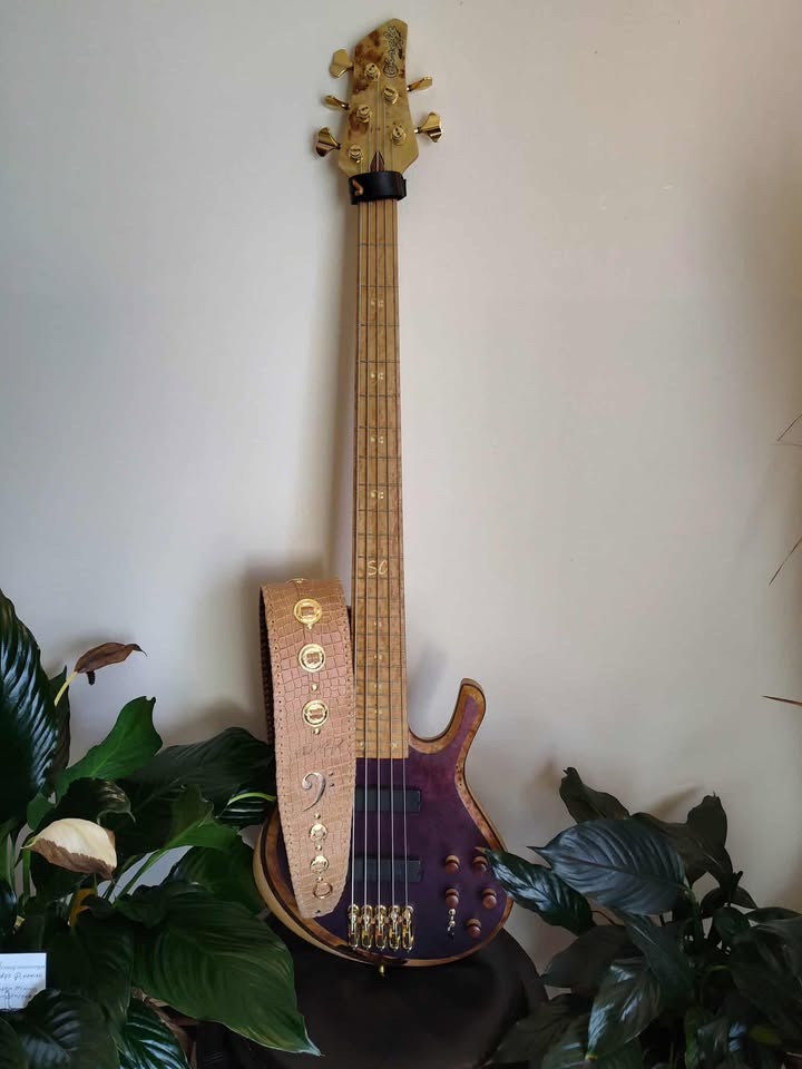 Stevo Model - GBS